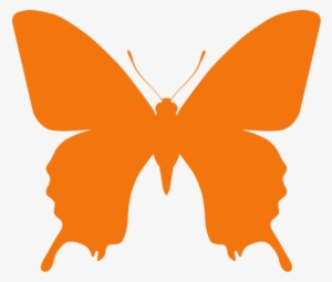 Orange Butterfly Png