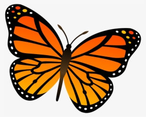 Goals For The Butterfly Room Butterfly - Dibujo De Mariposa Monarca Para Colorear