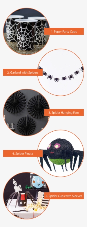 5 Favourite Spider Products