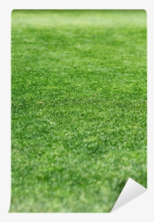 Lawn