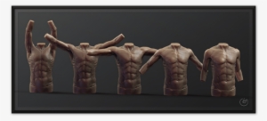 Benmiller Shoulder Rhythm Front 1500px - Anatomy