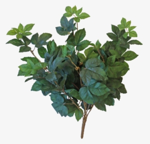 24” Soft Touch Maple Hanging Bush - Houseplant