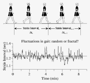 Stride Interval