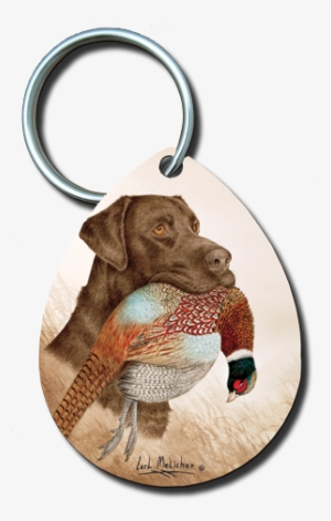 034 - German Shorthaired Pointer
