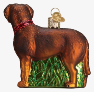 Standing Chocolate Lab Ornament - Old World Christmas Pacific Blue Tang Glass Ornament