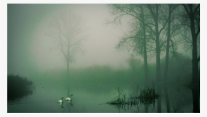 Score 50% - Mist