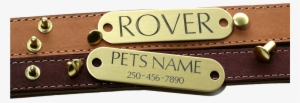 Collar Tag With Rivets - Strap