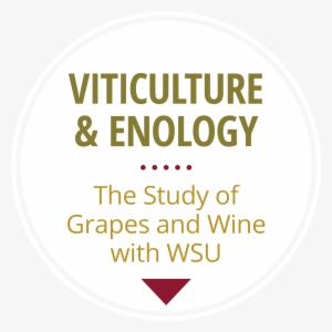 How Grapevine Virus Diseases Spread - Published On Junebug Weddings 2017