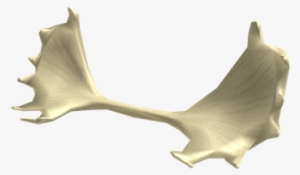 Bull Moose Party - Roblox Bull Moose Party