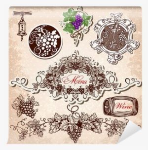 Hand Drawn Vector Set Of Wine, Grapes And Winemaking - Illustration