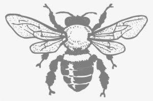 How To Set Use Grey Bee Svg Vector - Honey Bee Rectangle Sticker