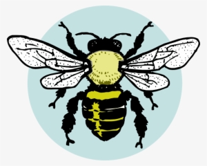 Little Bee Clip Art At Clkercom Vector Online - Honey Bees Black And White