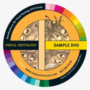 The Human Cell - Circle