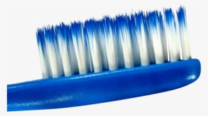 Tooth Brush Png Free Download - Cepillo De Dientes Cerda