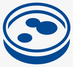 Human Melanoma Cell Line A375p Expressing Cdna For - Human Cell Line Icon