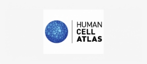 The International Human Cell Atlas Publishes Strategic - Circle