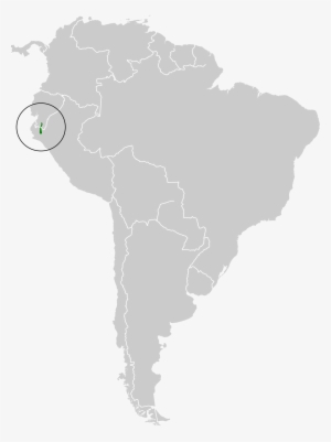 1953 South American Championship