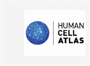 The International Human Cell Atlas Publishes Strategic - Human Cell Atlas Logo
