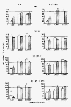The Influence Of Aa And 6 Cl Aa On The Proliferation - Line Art