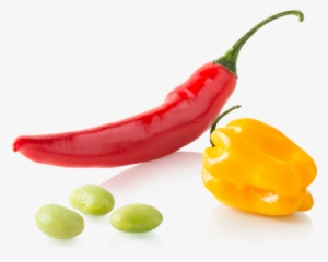 Great Taste Ingredients