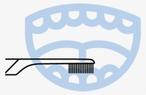 B) Tooth Size Strokes