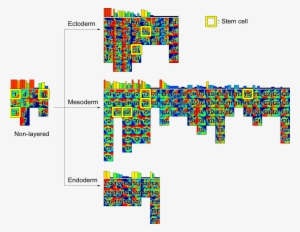 A Human Cell Database, In Which We Can Objectively - Kyoto