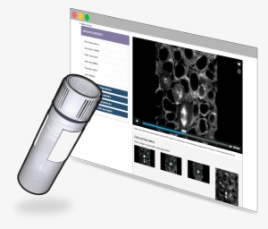 View Detailed Information And Quality Control Measures - Electronics