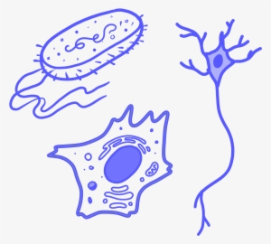 Clip Art