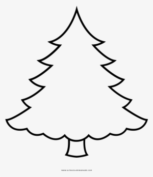 Árvore De Natal Desenho Para Colorir - Pine Christmas Tree Coloring