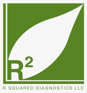 Soil Texture Png
