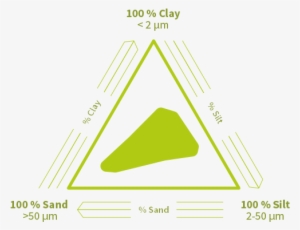 Soil Texture Suitable For Burgundy Truffle Culture - Burgundy