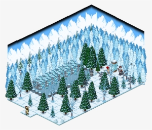 Entre No Quarto Em Busca Da Grande Árvore De Natal - Colorado Spruce