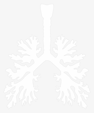 Lung Lung Png - Lung Stencil