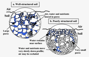 3 Soil Structure - Soil