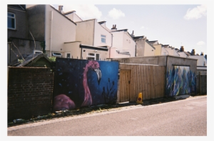 Easton Graffitti Bluebirds Easton Graffitti Flamingo - Wall