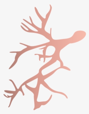 Healthy Lung Left Side 1 - Illustration