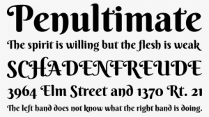 Berkshire Swash Font Phrases