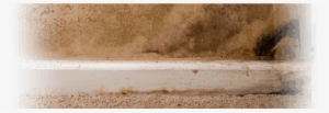 Mold - Concrete