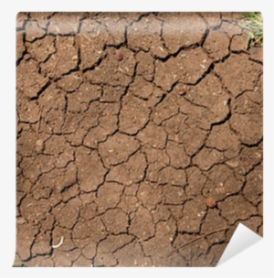 Cracked Texture Png Download - Texture Terra