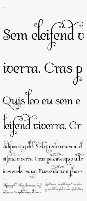 Albemarle Swash - Asian Paints Nilaya Dream Believe Discover Wall Stickers