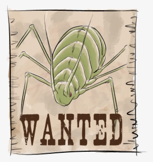 El Pulgón - Wanted Poster