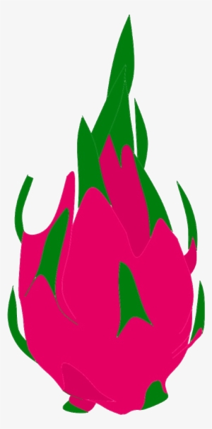Dragonfruit - Dragon Fruit Clipart Png
