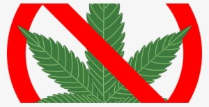 Green - Reasons Not To Smoke Marijuana: The Complete ]