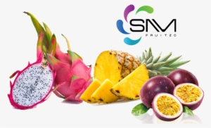 Mauritius, Fruits, Tropical, Exports, Fruitzo, Snm - Keep Healthy Fruitkies Chocolate Covered Pineapple