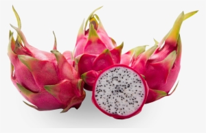 Dragon Fruit - Pitaya
