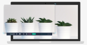 Screen Recorder - Computer Monitor