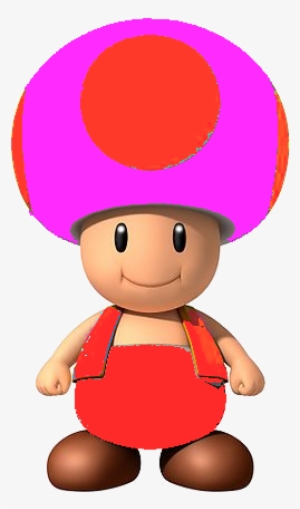 Fire Pink Toad - Mario Bros Wii Blue Toad