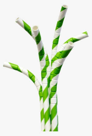 Bendable Paper Straws