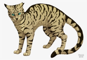 Arrow Of Time - Vialir Warrior Cats