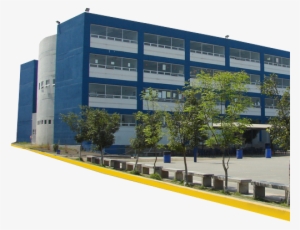 Edificio - Commercial Building